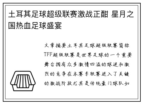 土耳其足球超级联赛激战正酣 星月之国热血足球盛宴 土耳其足球超级联赛激战正酣 星月之国热血足球盛宴